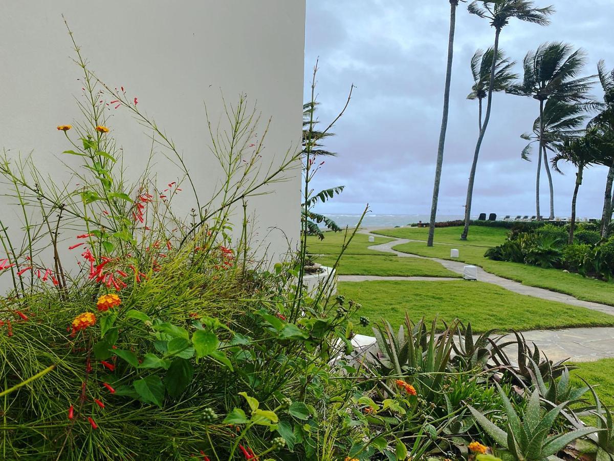 Cabarete Beachfront Condos At Nanny Estate C-5 Esterno foto